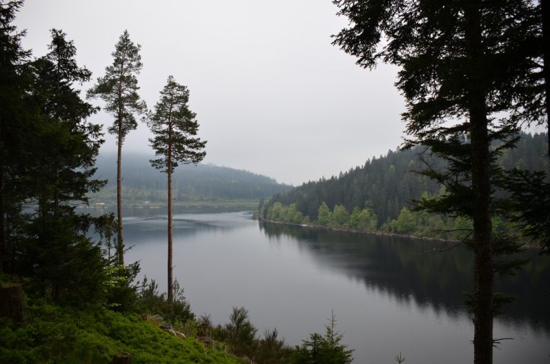 Stille Landschaft mit See, umgeben von Bäumen und sanften Hügeln unter grauem Himmel.