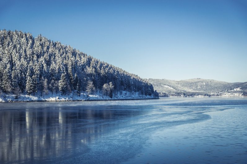 Schneebedeckte Bäume am Ufer eines gefrorenen Sees unter klarem blauen Himmel.