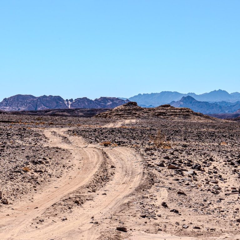 Wüstenlandschaft mit einem schmalen, gewundenen Fahrweg und fernen Bergen im Hintergrund.